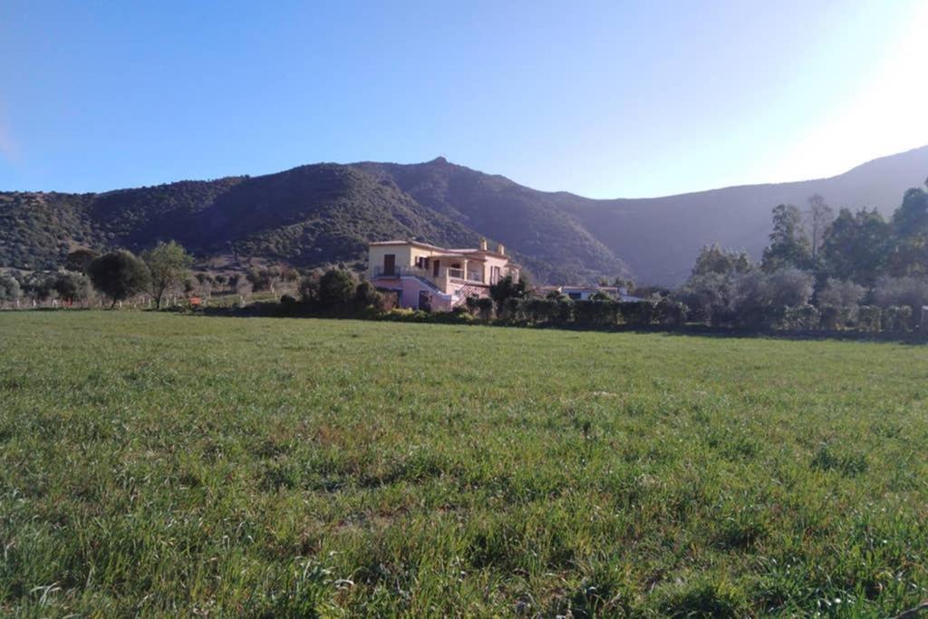 Agriturismo Donnolu Тертения Экстерьер фото